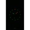 Luminox Original Navy Seal Rubber Strap Green Dial Quartz Diver's XS.3013.EVO.S 200M Men's Watch